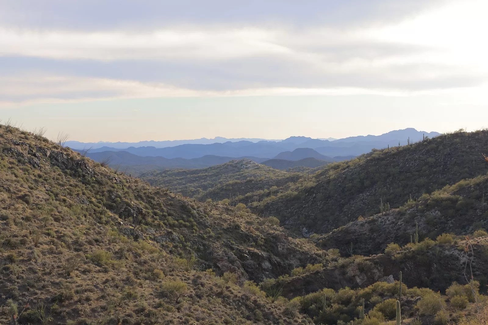 San Domingo 0 J5 A7196 header